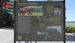 50 Jahre nach dem Fund: Schautafel für den Ebinger Urelefanten vorgestellt