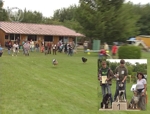 Zamperlrennen beim Hundesportverein Mühldorf - ein köstliches Vergnügen