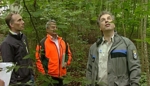 Zum "Aktionsjahr Waldnaturschutz": Ein Waldspaziergang mitten in Waldkraiburg