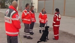 Flächensuchprüfung für Rettungshunde des BRK
