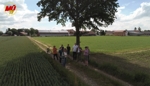 Bauerverband: Feldbegehung und Meinungsaustausch mit Landtagskandidaten